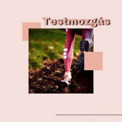 Testmozgás
