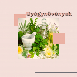 Gyógynövények