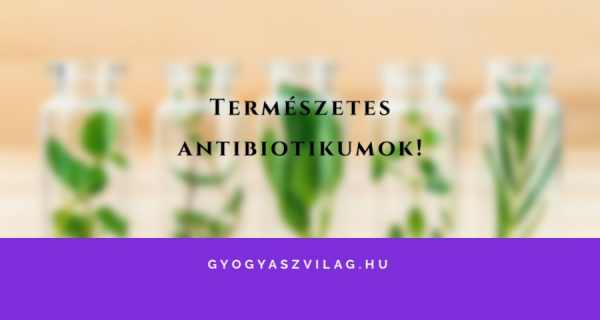 Természetes antibiotikumok