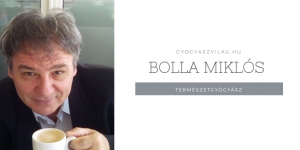 Bolla Miklós