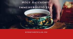 Négy legjobb immunerősítő tea